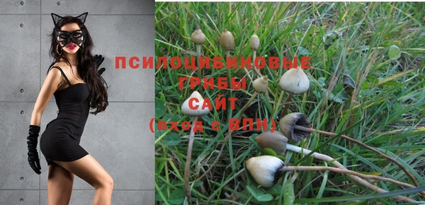 ПСИЛОЦИБИНОВЫЕ ГРИБЫ Абинск