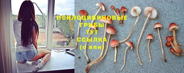 синтетический гашиш Абдулино